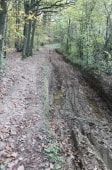 Bois de l'Homme Mort